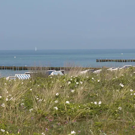 펜션 Exklusiver Mit Terrasse In *