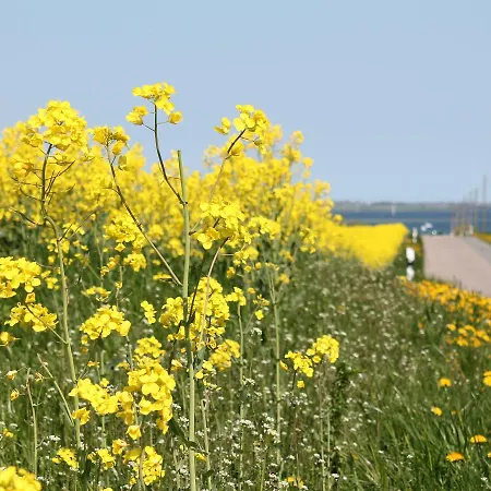 Exklusiver Mit Terrasse In 펜션 레리크