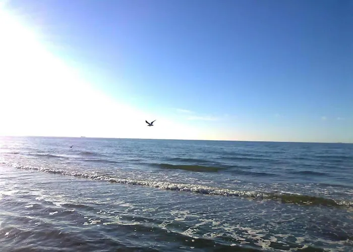 Exklusiver Mit Terrasse In ريريك