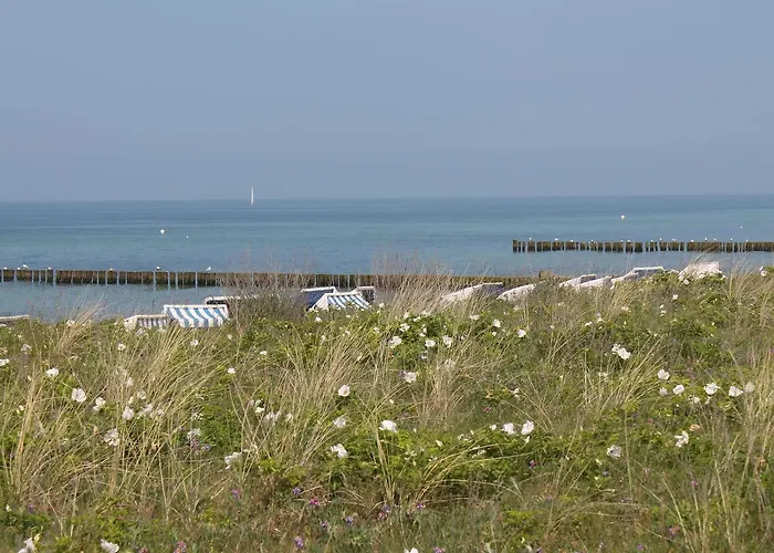 بيت للعطل Exklusiver Mit Terrasse In *