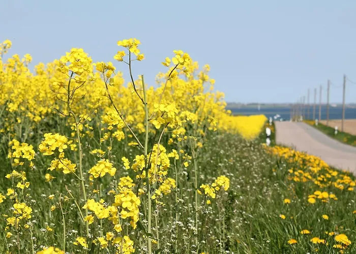 Exklusiver Mit Terrasse In بيت للعطل ريريك