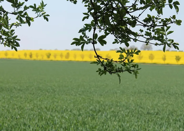 Exklusiver Mit Terrasse In *